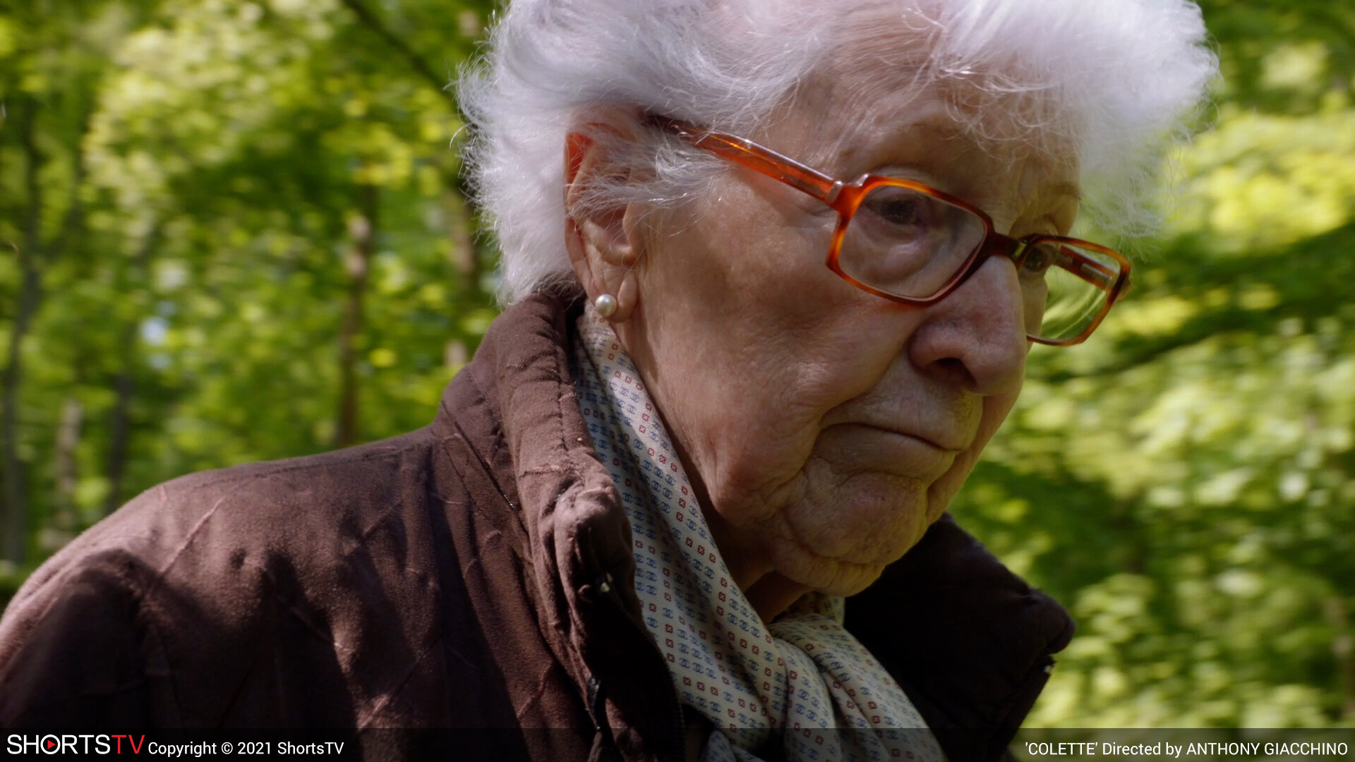 2021 Oscar-Nominated Documentary Shorts