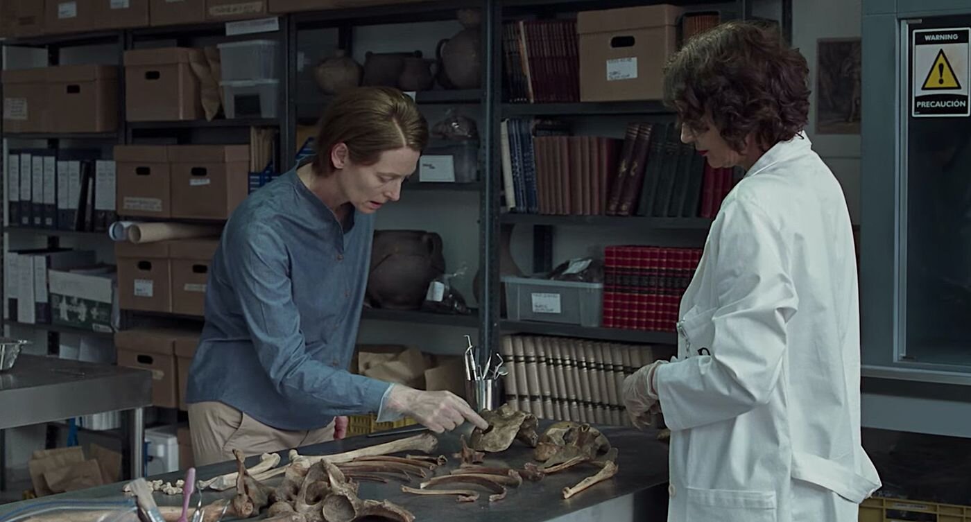 57th Chicago International Film Festival preview