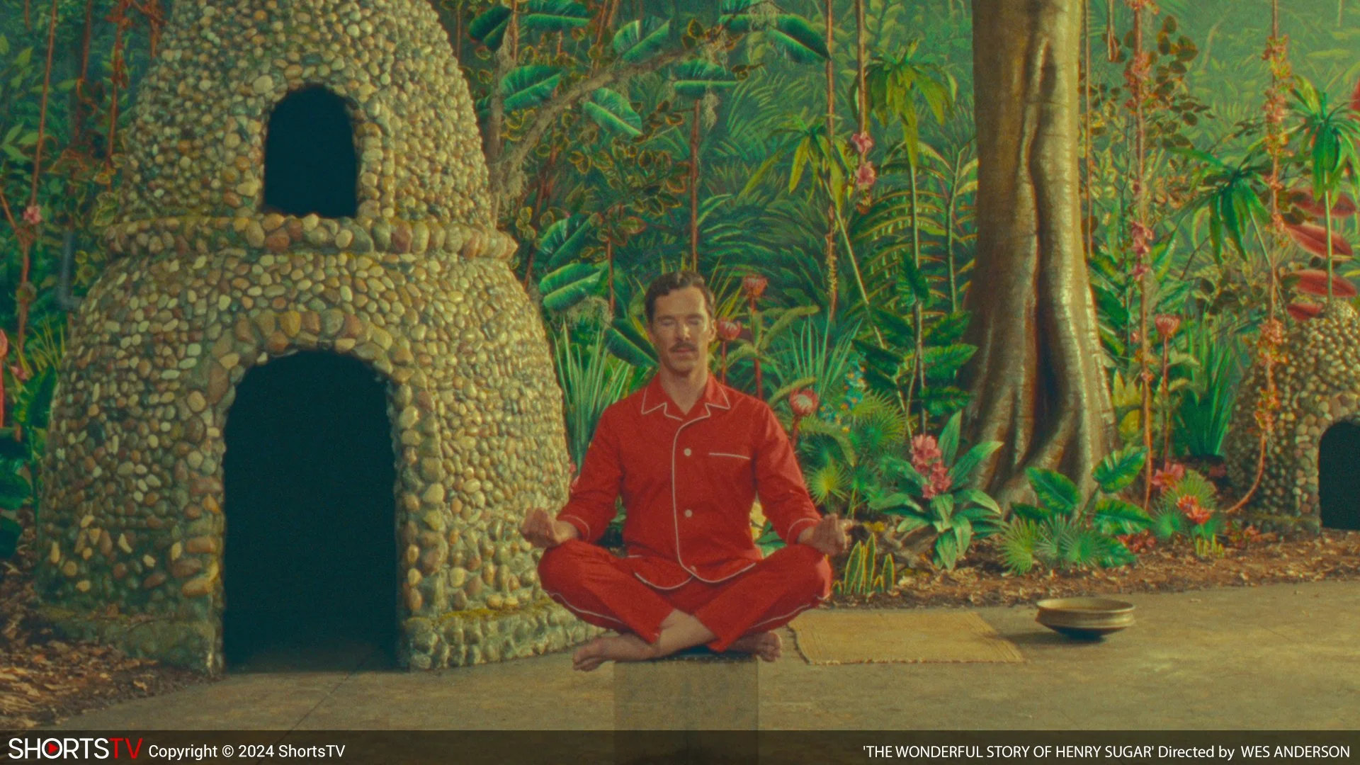 2024 Oscar-Nominated Live-Action Shorts