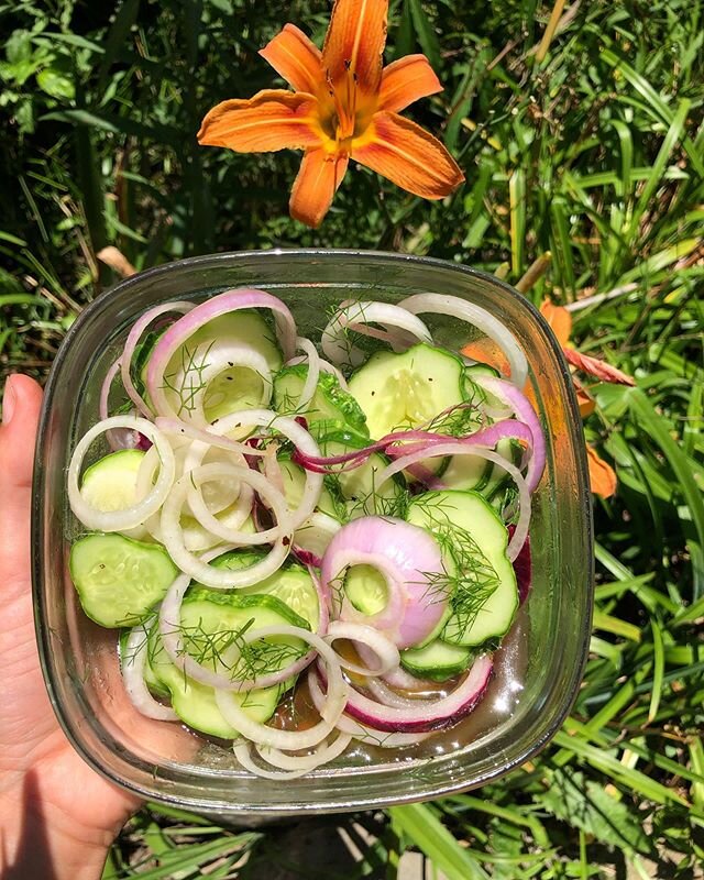 My grandma always made what we called cucumber and onions every summer with the produce grandpa grew in the garden, and when we were kids, it was a vegetable dish I always really liked.  I just picked all the ingredients from my own backyard, so here