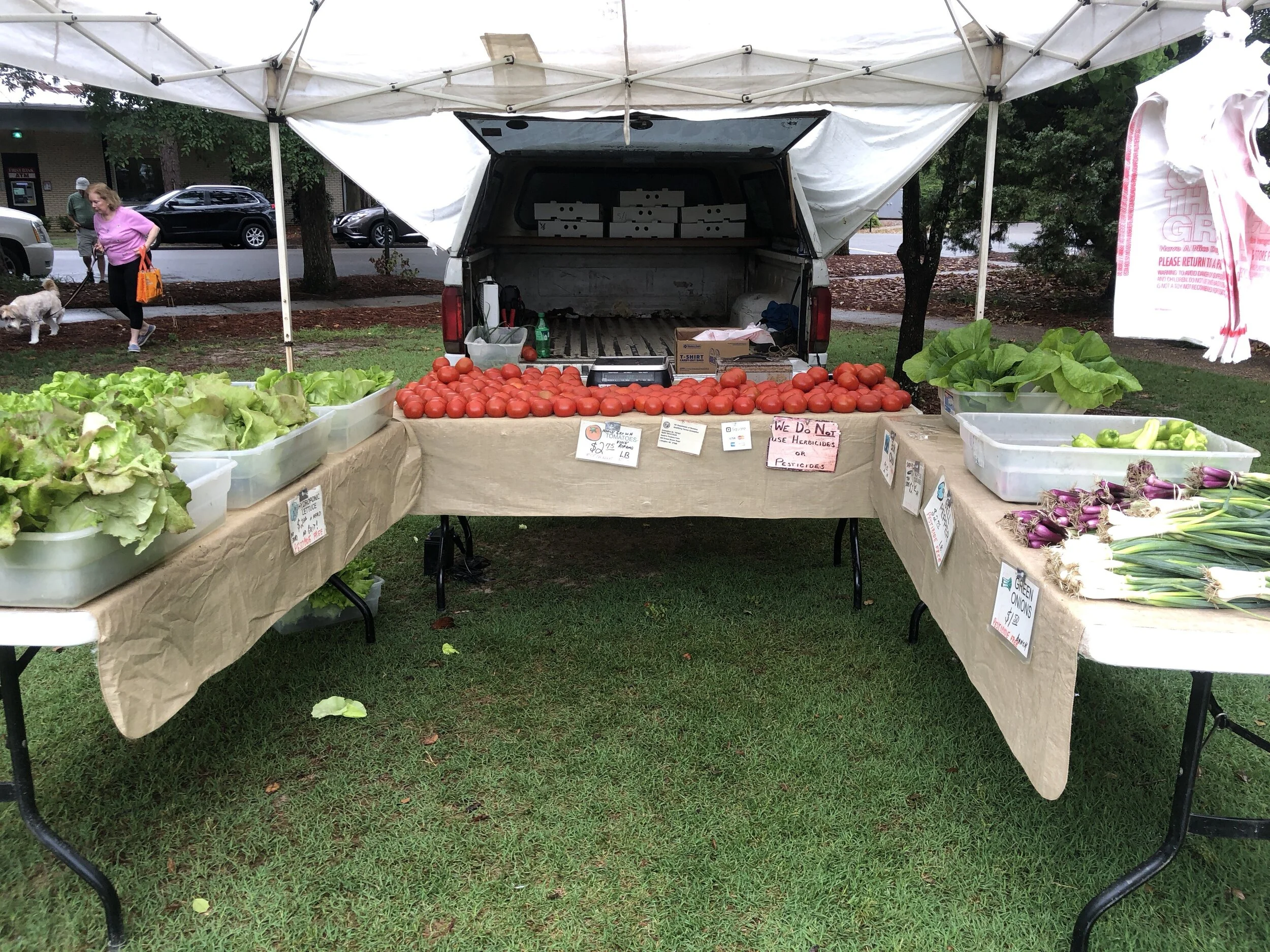 Meet Scott from Spahrs Produce