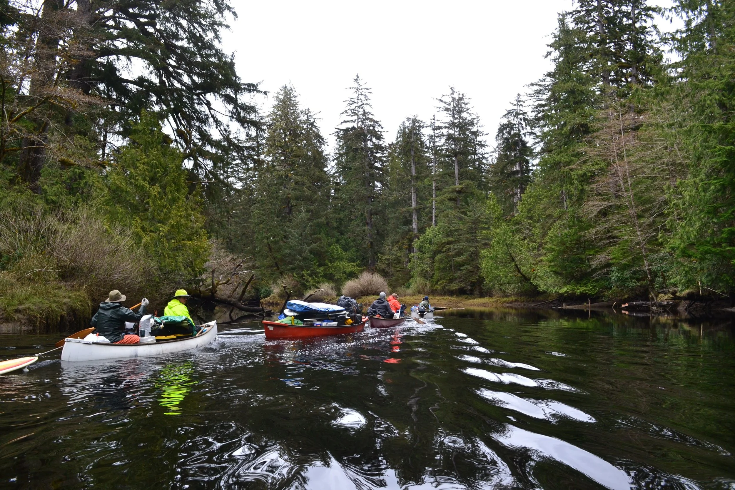 A long weekend at Raft Cove Provincial Park. — Cove Adventure Tours