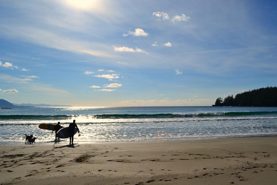 grant bay 10 surfers and pups.JPG