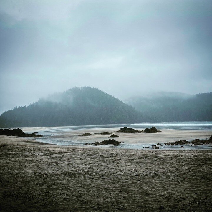 As the tides bulge and the winds change we echo the season that is now behind us. Droves of BC residents have opened up to new discoveries and adventures in their own backyard. We gratified many this year and surely will continue to in the time to co