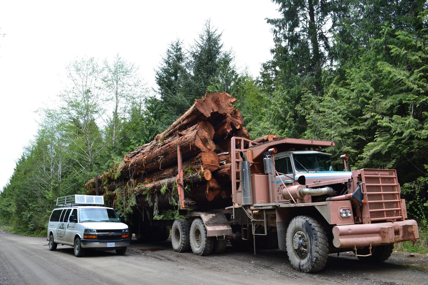 Happy ST Patricks Day!! We haven't seen any Leprechauns on our adventures but did we hear a Sasquatch that one time? 🤔
#pnw 
#sanjo 
#porthardy 
#beachorbust 
#coveadventuretours 
#fattruck 
#capescott 
#hiking