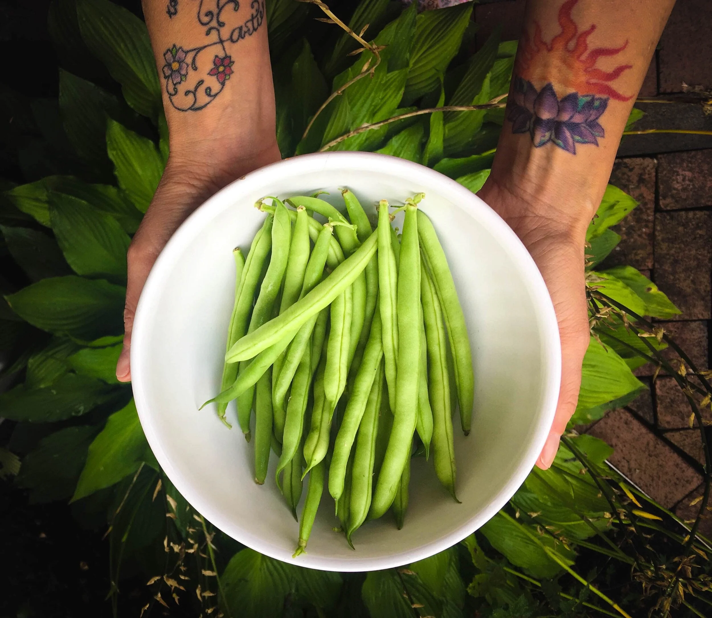 greenbeans.JPG