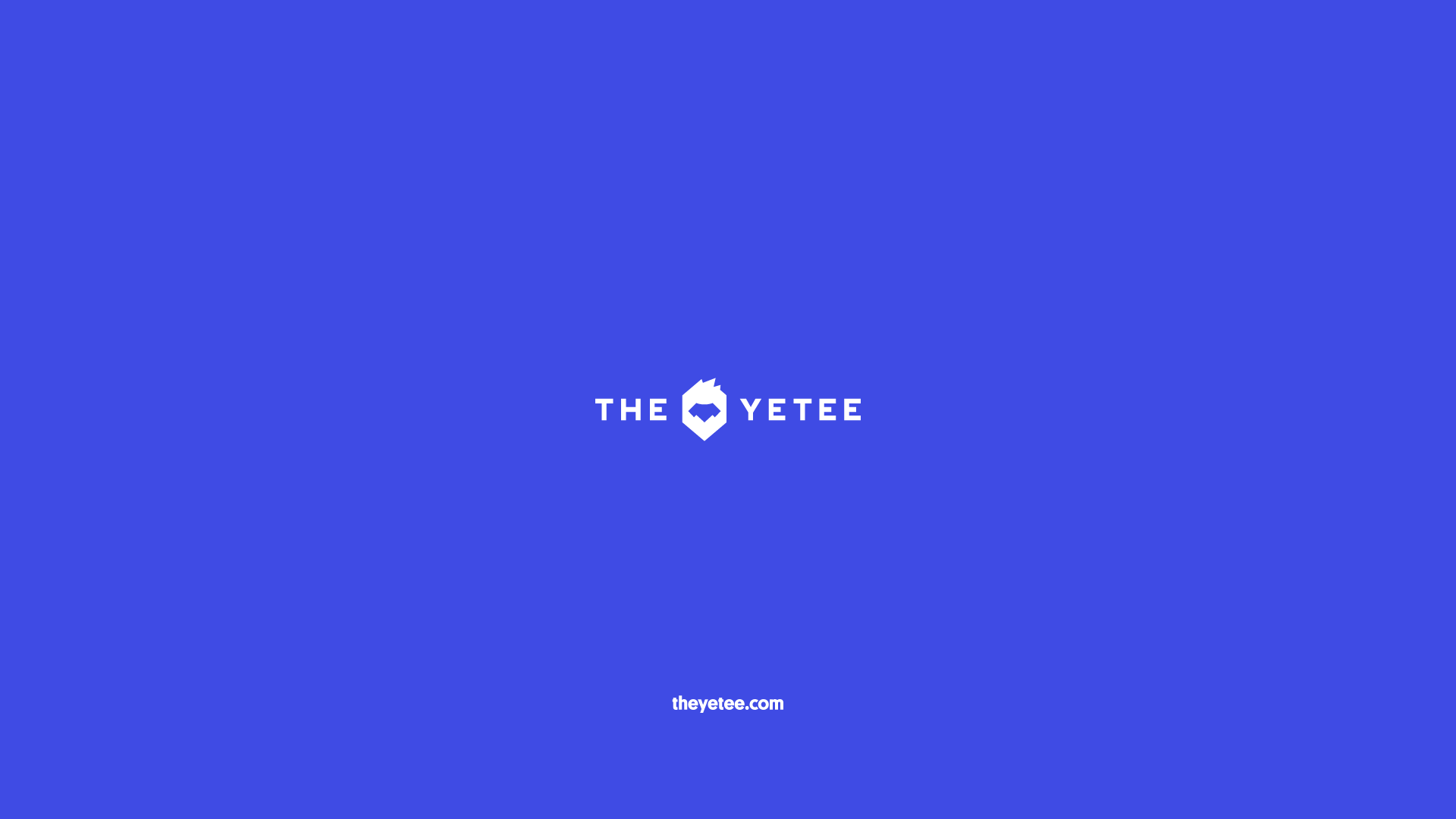 YT01_Yetee_Brand_Guide_Portfolio_12.png