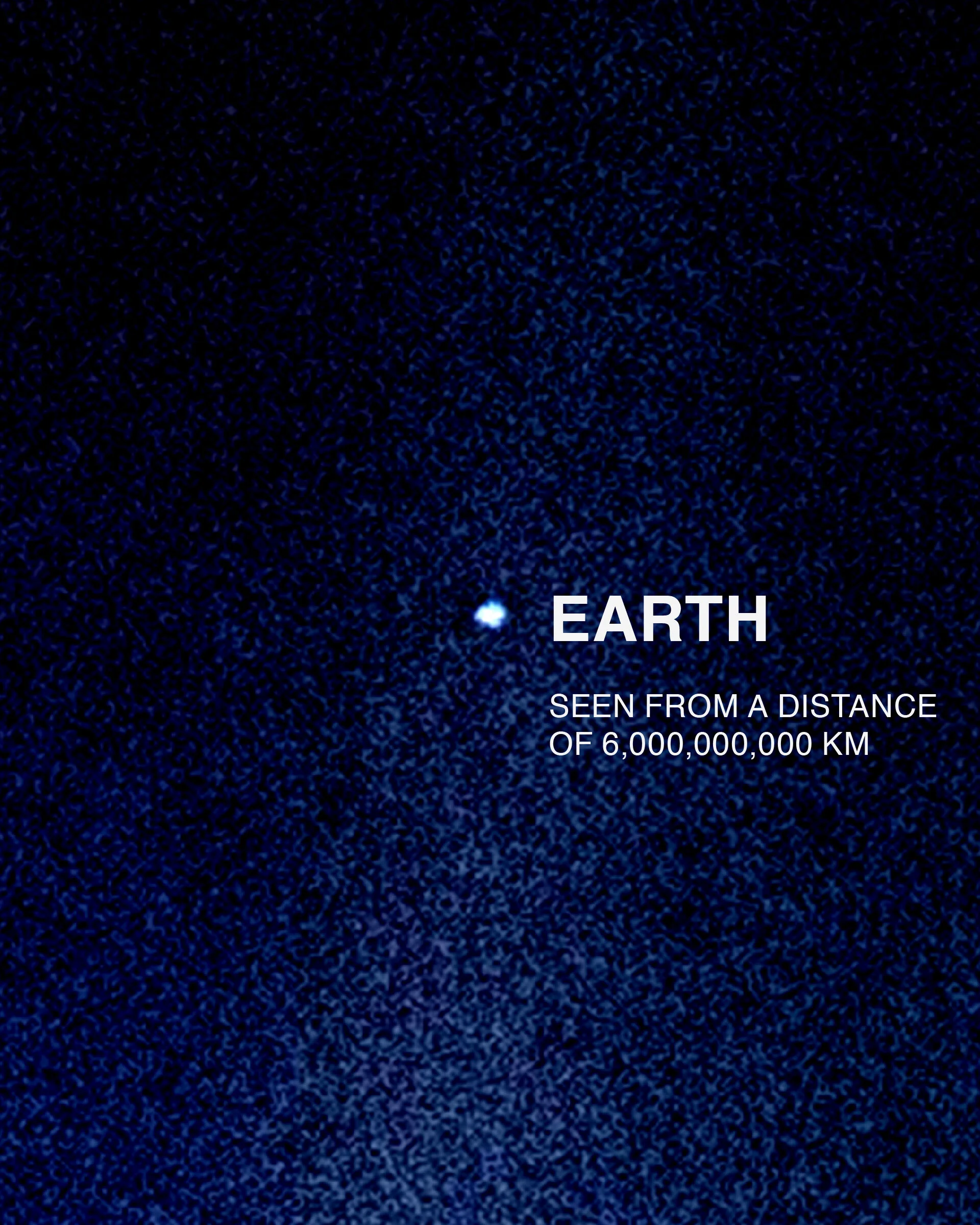 MORE_STARS_INSERTAsset 1_4000.jpg