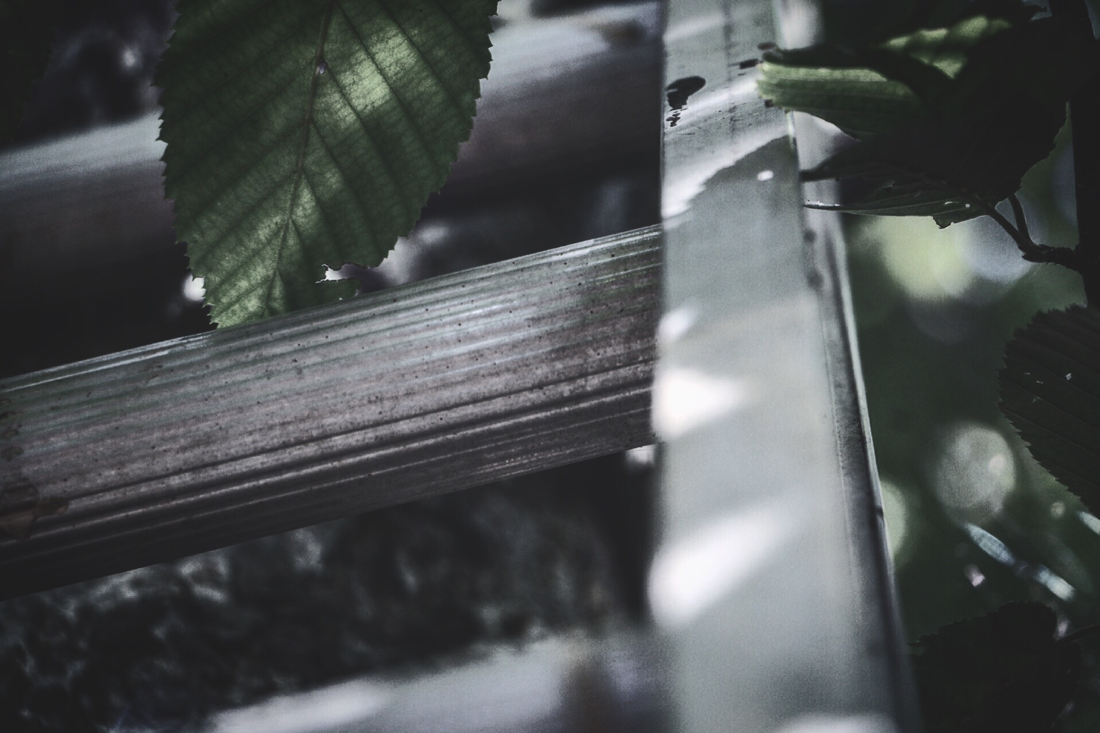4af240a8-b1ac-4a13-9e4c-c55111db6a23-867-000001234ef12e5d_orig.png