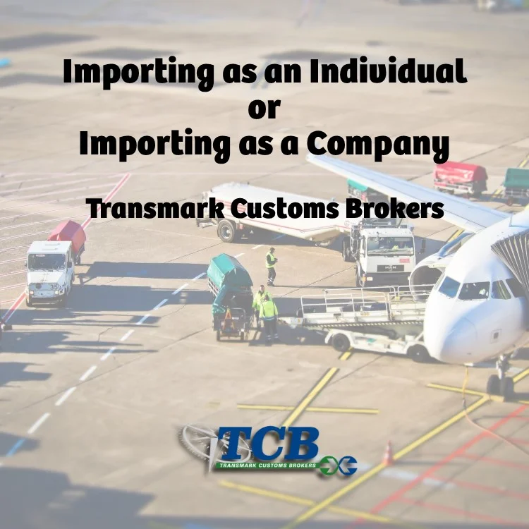 TCB Blog Import as Individual or Company.jpg
