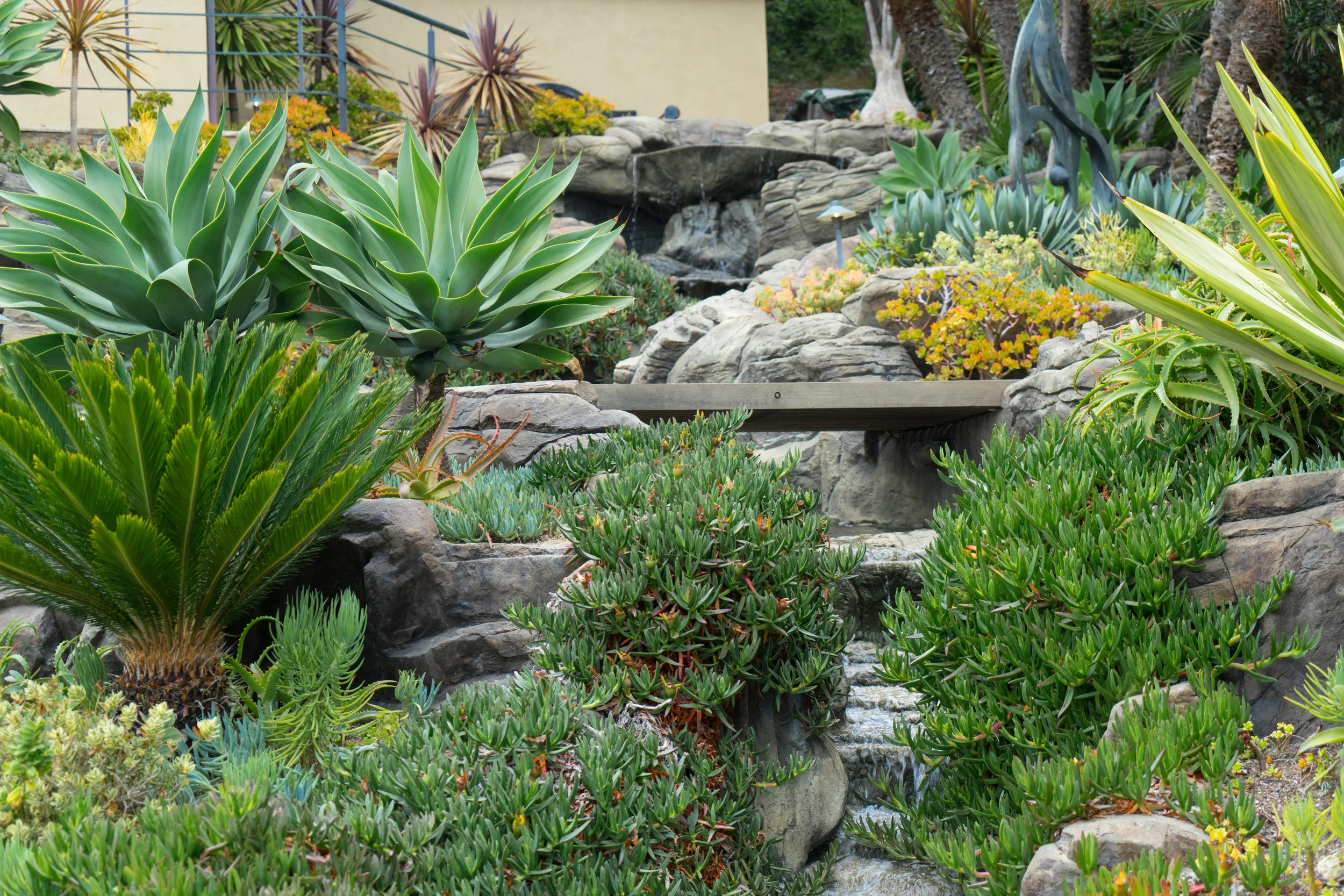 Laguna After Landscape-27.jpg