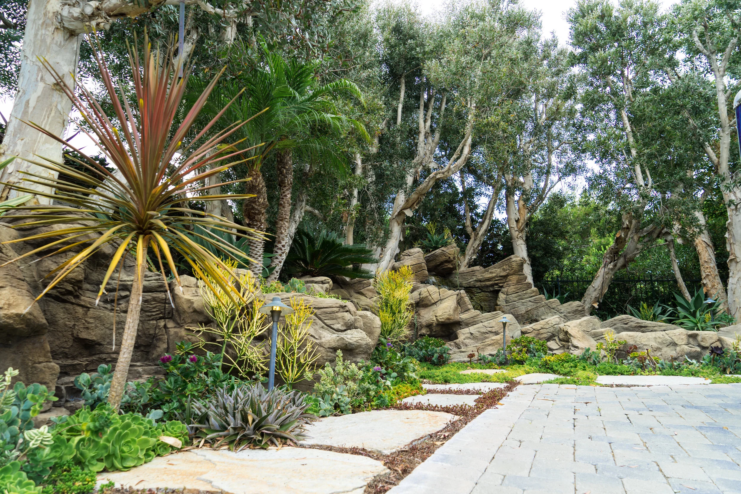 Laguna After Landscape-18.jpg