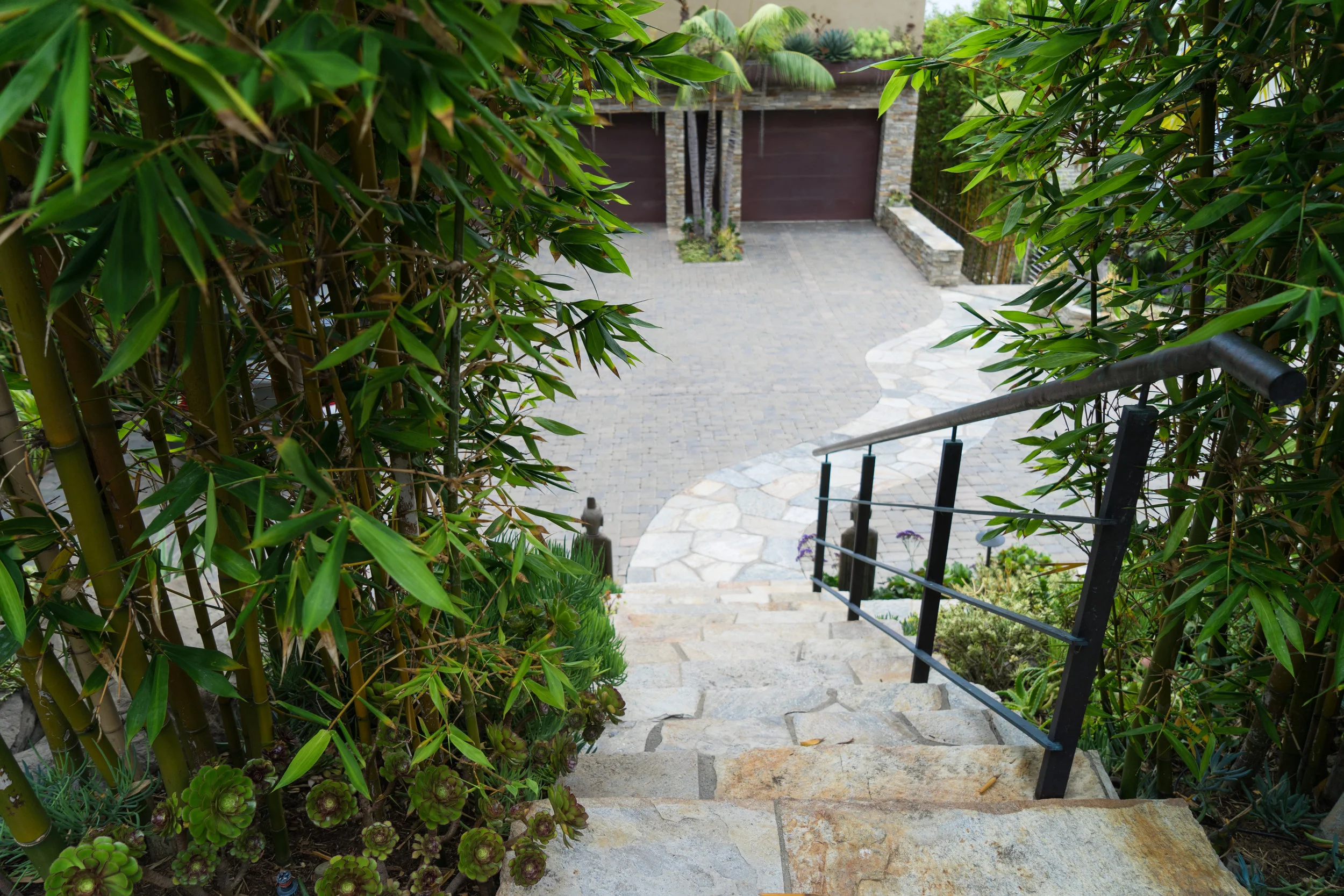 Laguna After Landscape-17.jpg