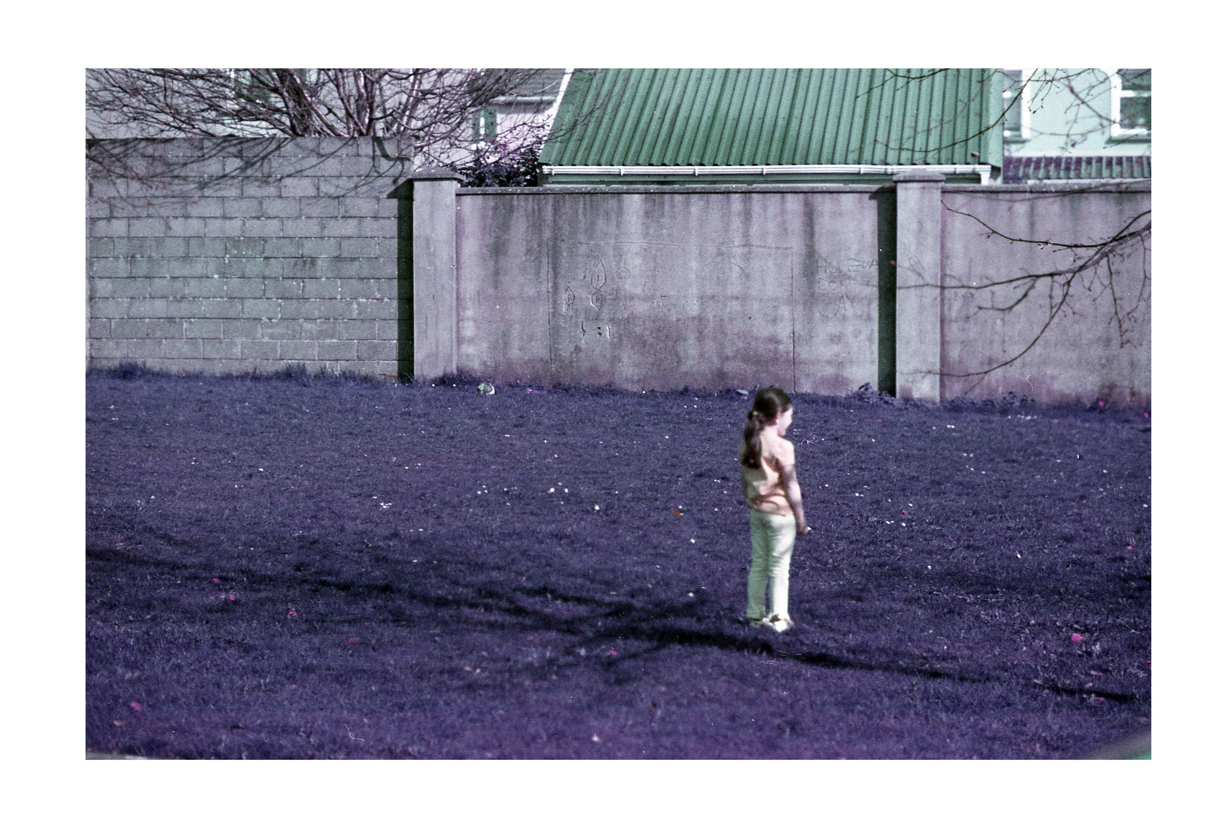 lomo3.jpg