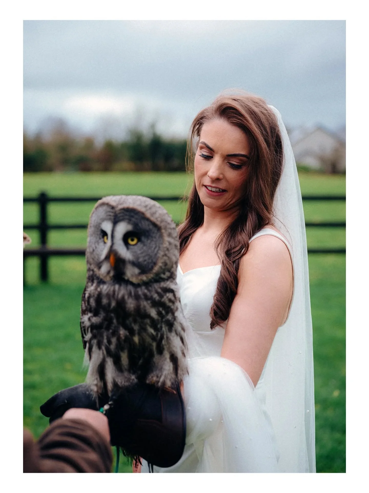 Niamh &amp; Liam 💚

@killarneyfalconry

Florist - @bloomsfloristkillarney
Videographer - @dtweddingfilms
Venue - @weddings_thebrehon @thebrehonhotel
Church music - @claireheffernanweddingmusic
Band - @truly_diverse
MUA - @annetteobrien_mua
Hair - @j
