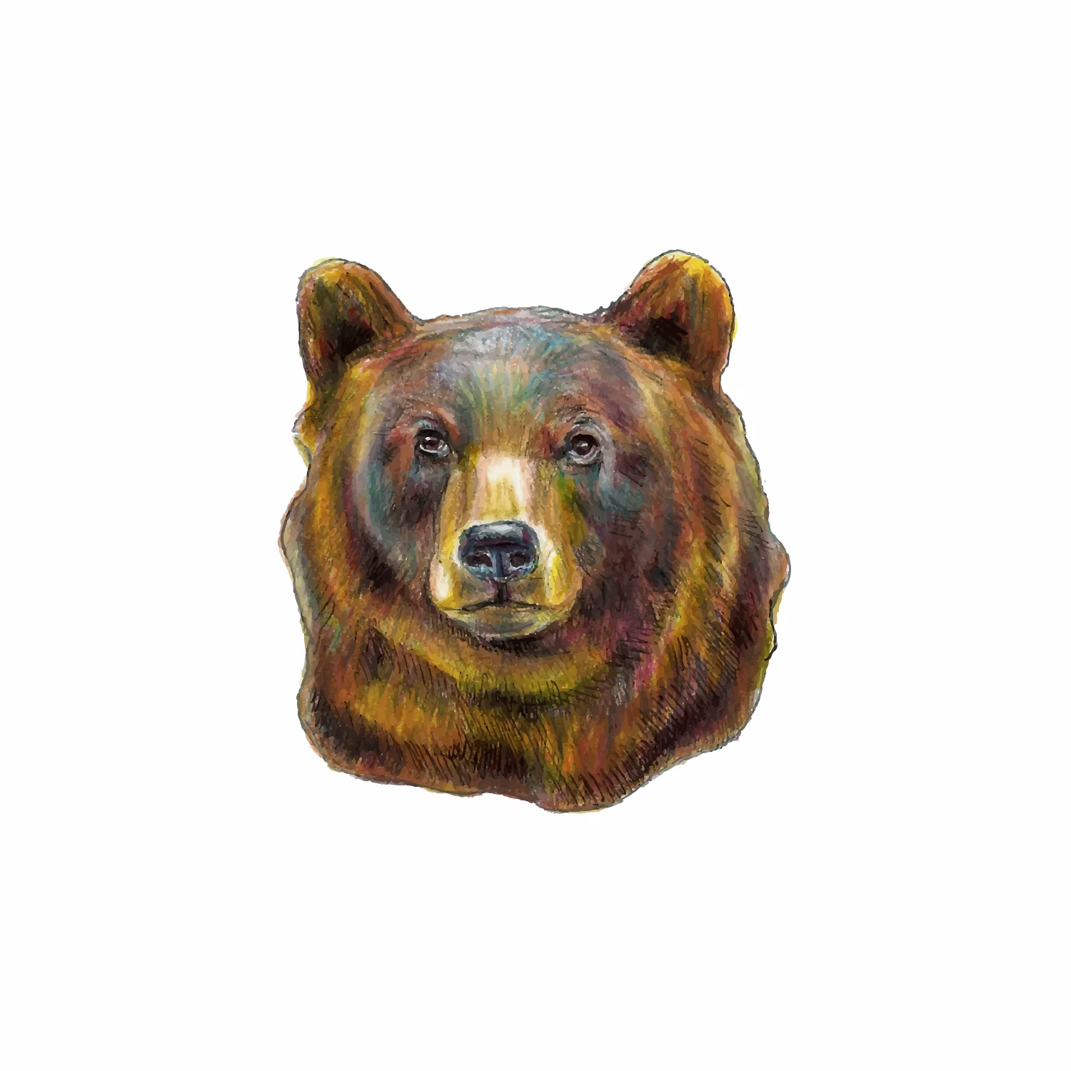 Honey Bear Traced copy.jpg