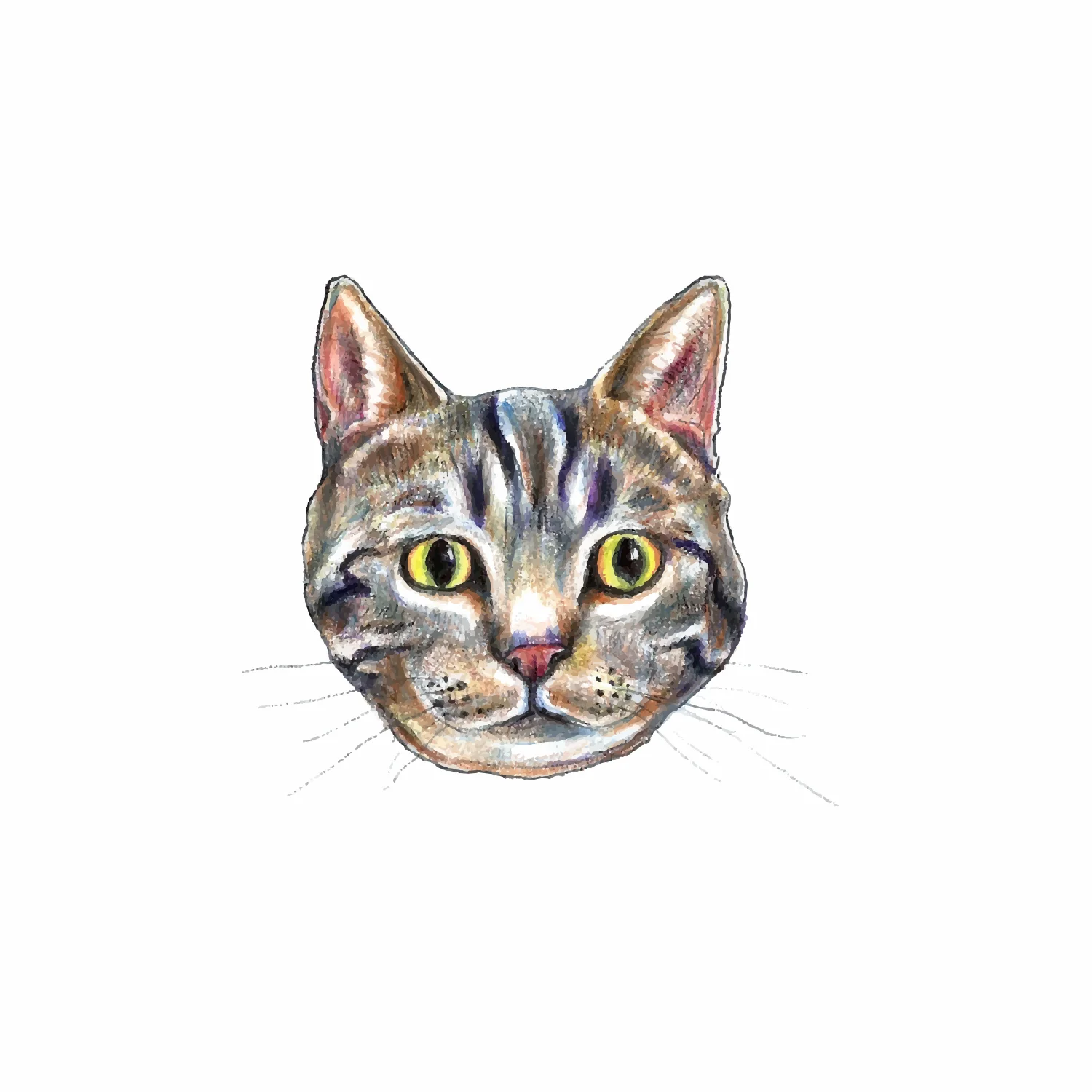 House Cat Traced.jpg