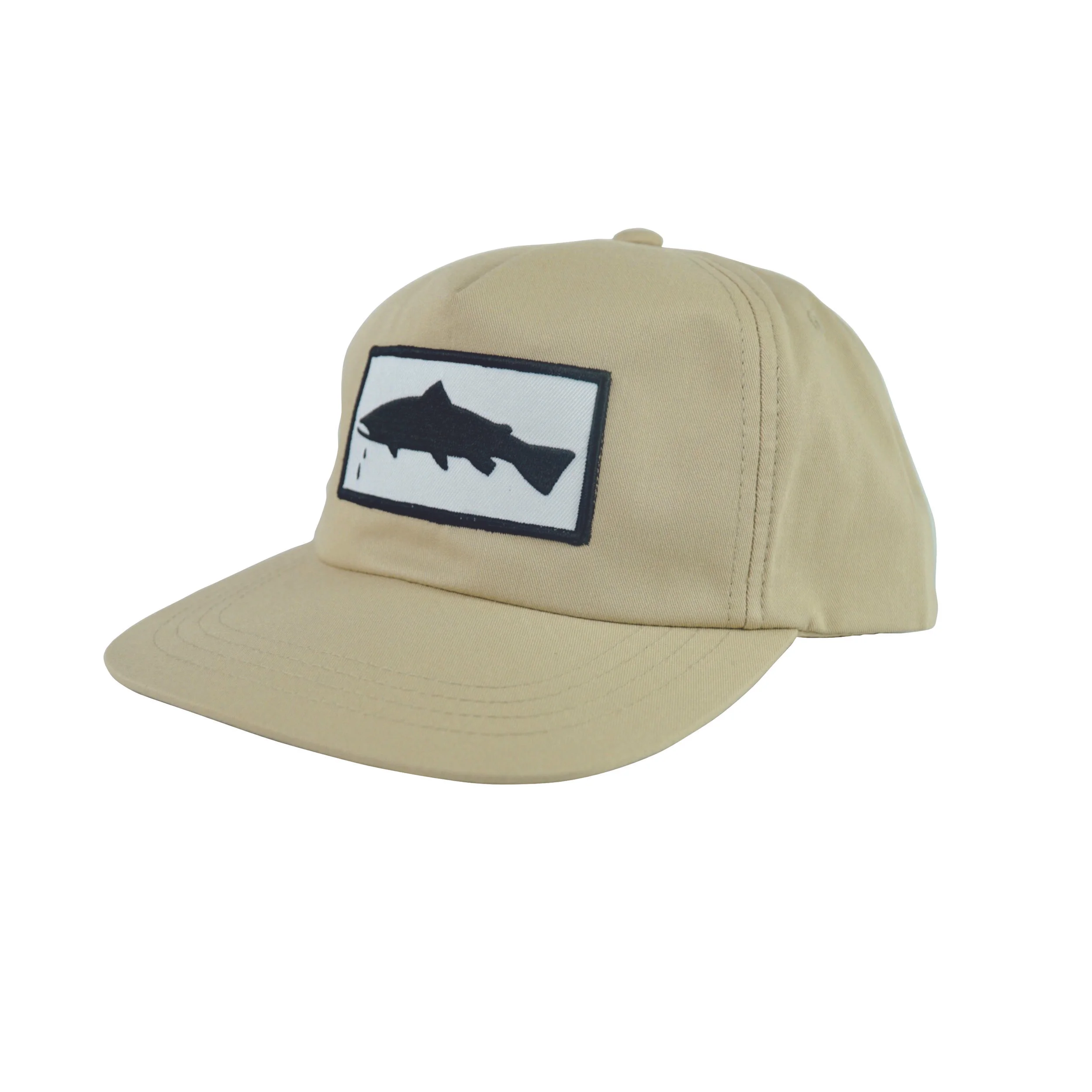 Tan Trout 1.jpg