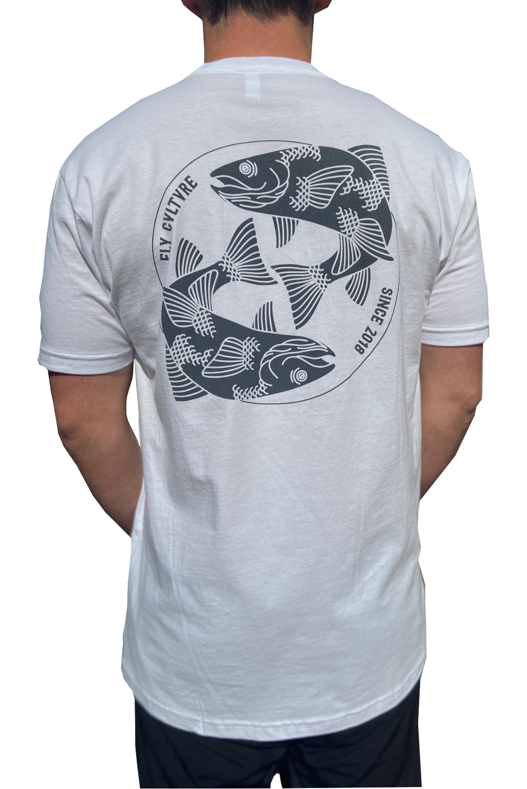 Coy Shirt Back (1).png