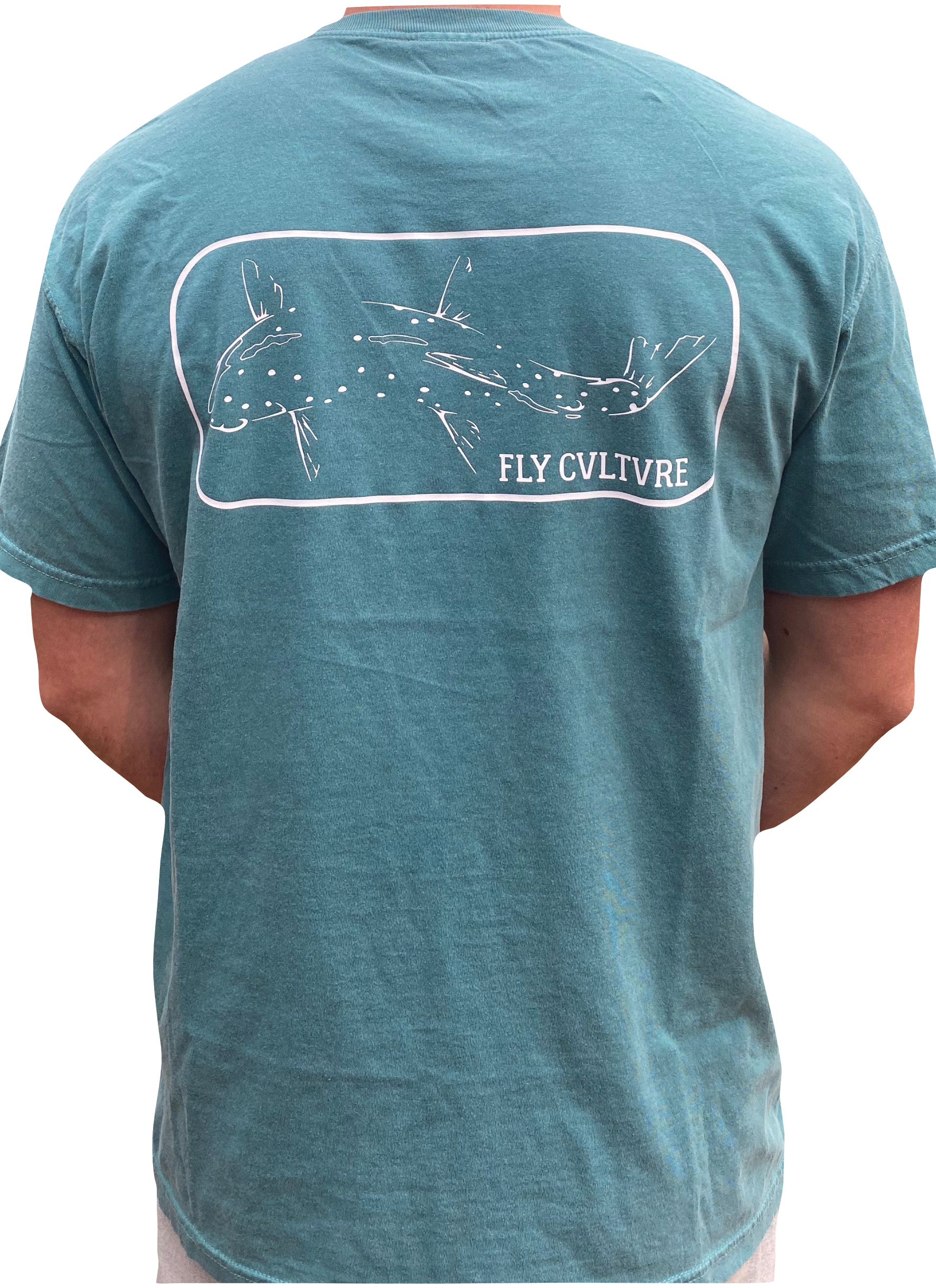 Fish outline green back.png