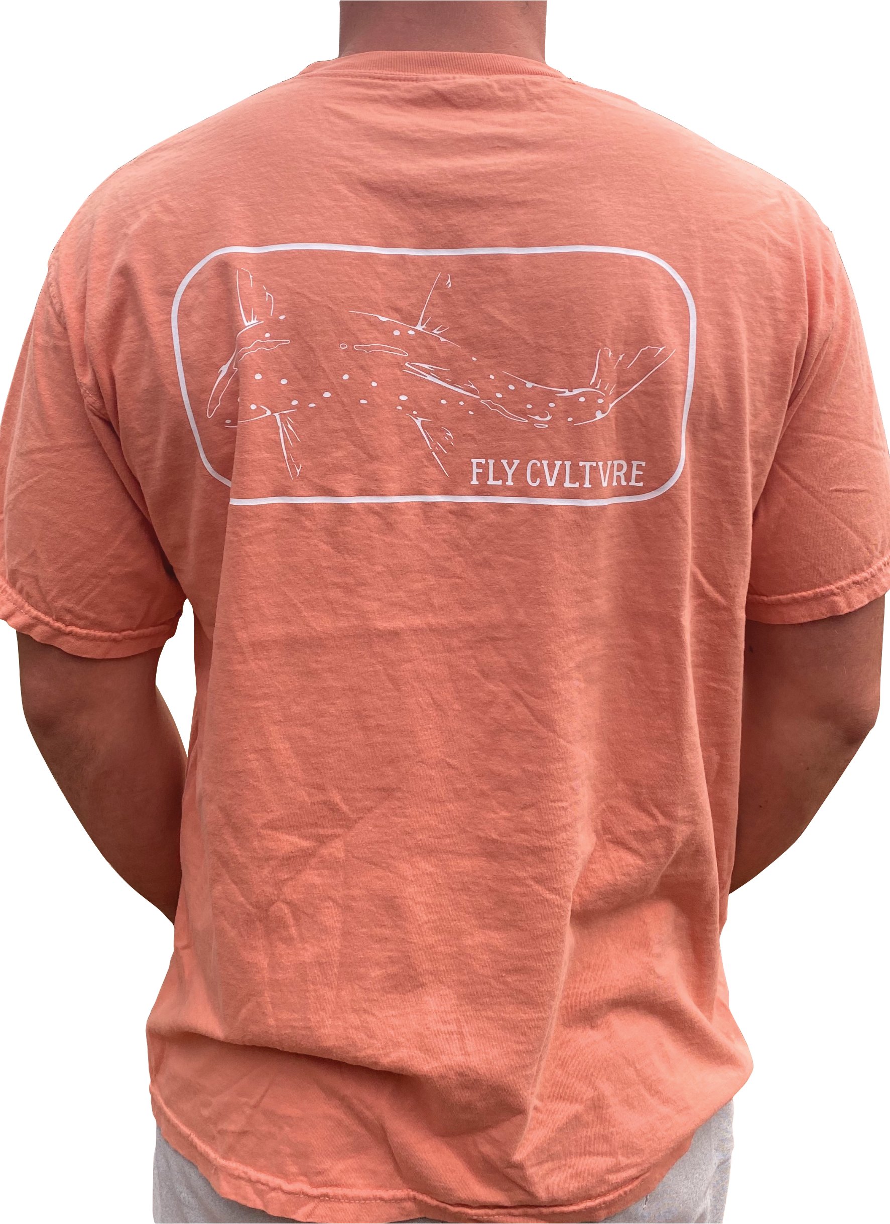 Fish outline pink back.png