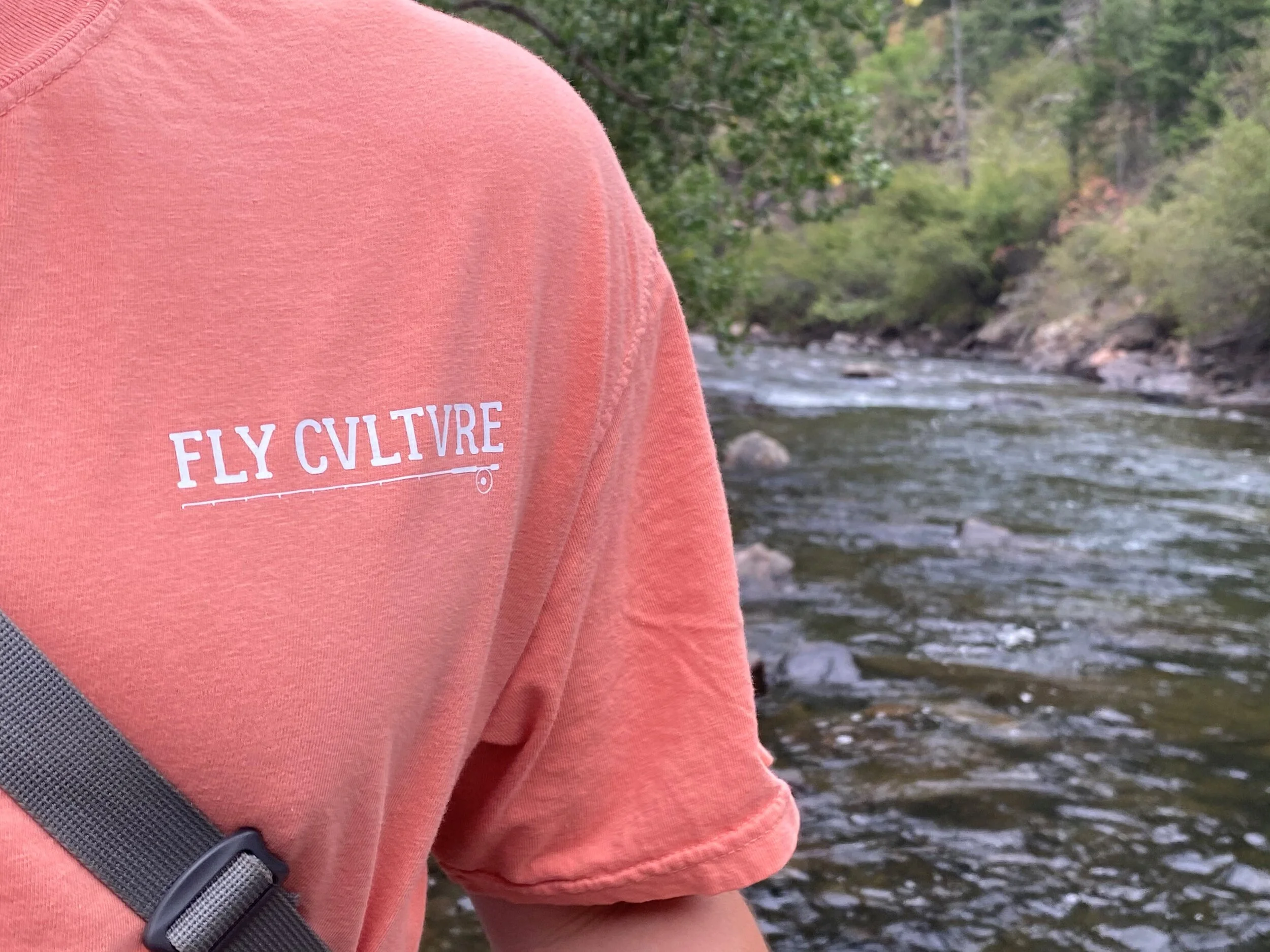 salmon trout front.jpg