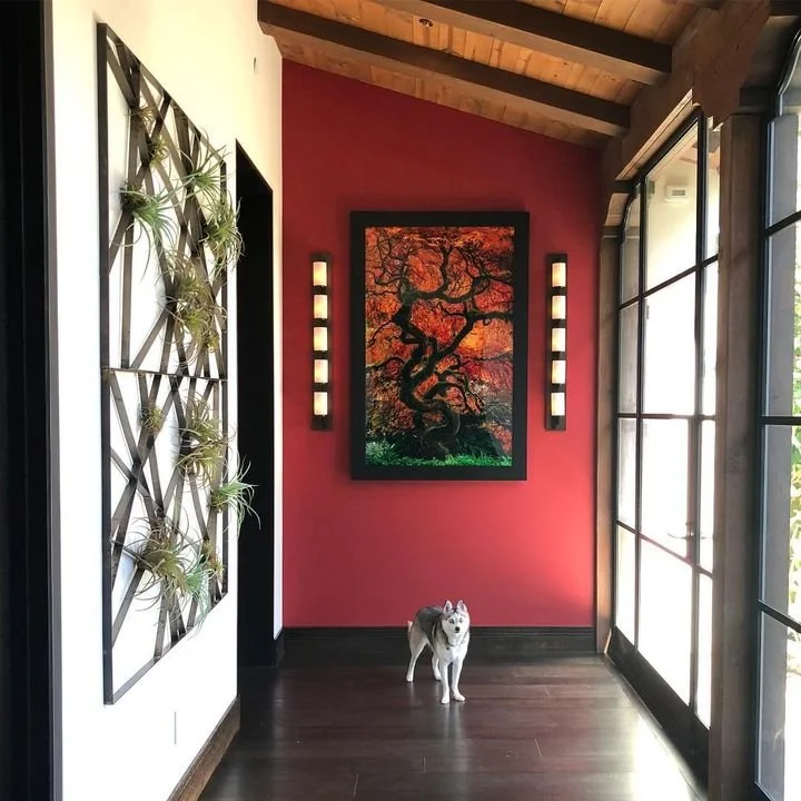Every space needs a focal point...even hallways.  Design: SMDAInc Architect: Oatman Architects, Inc.