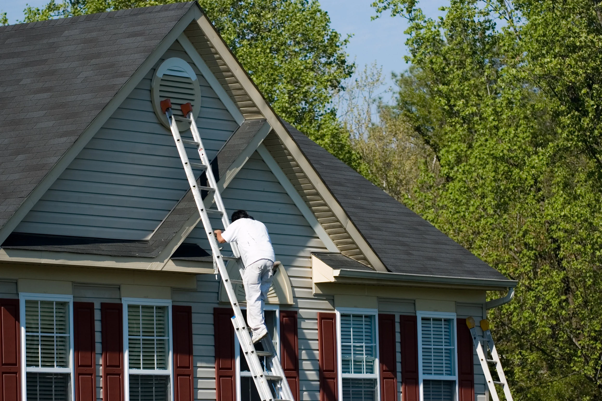 Painter on ladder Homeowner Brochure.jpg