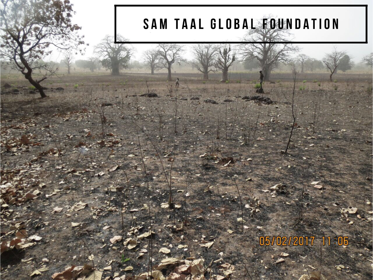 Tankular village clinic project-09.png