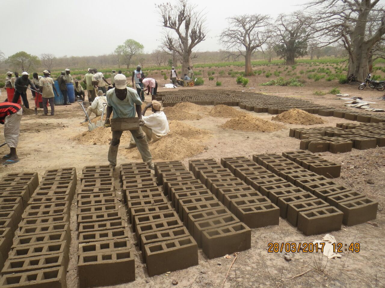 Photo Mar 29, 07 28 11.jpg