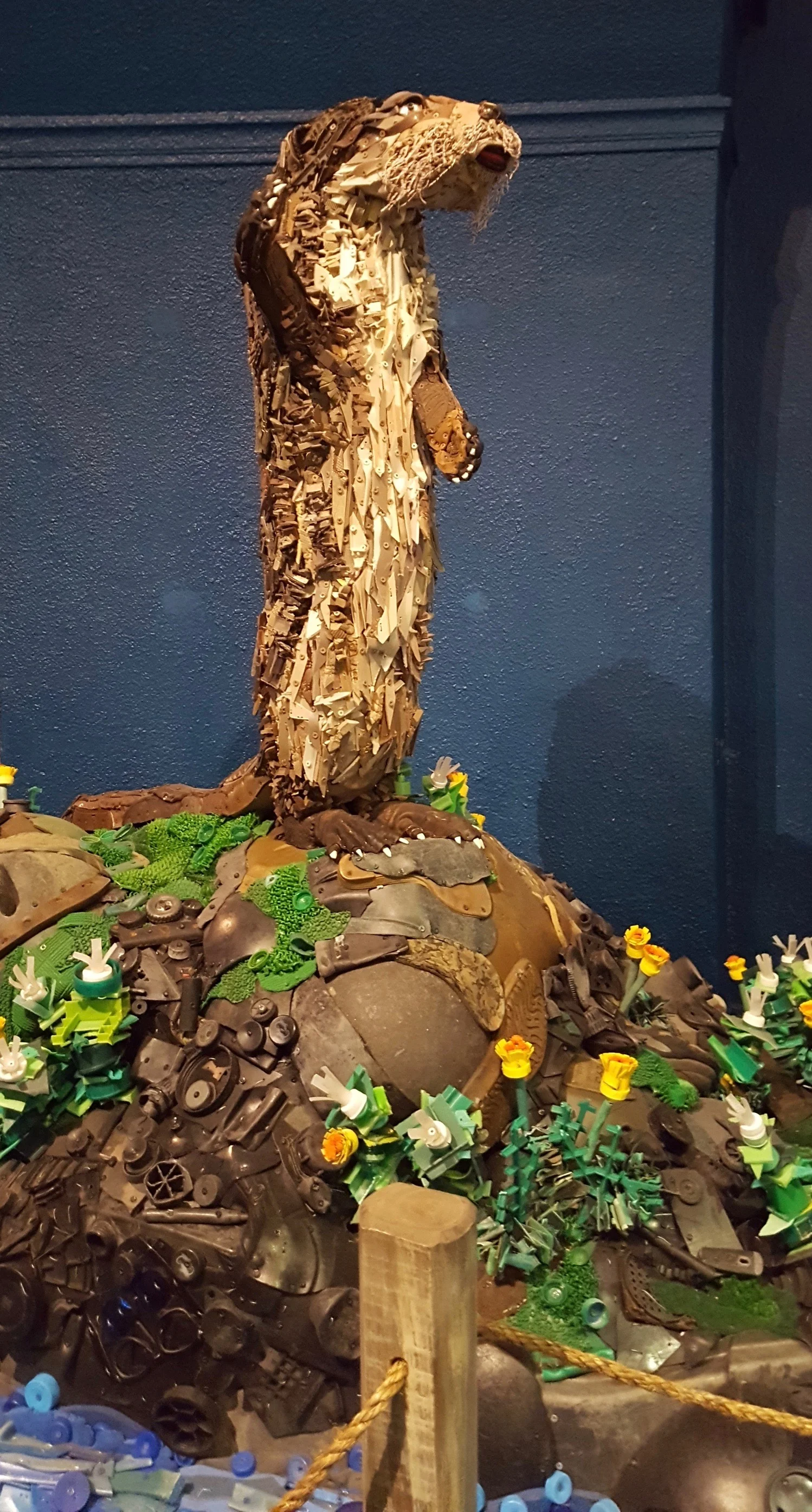 20171007_121700.jpg
