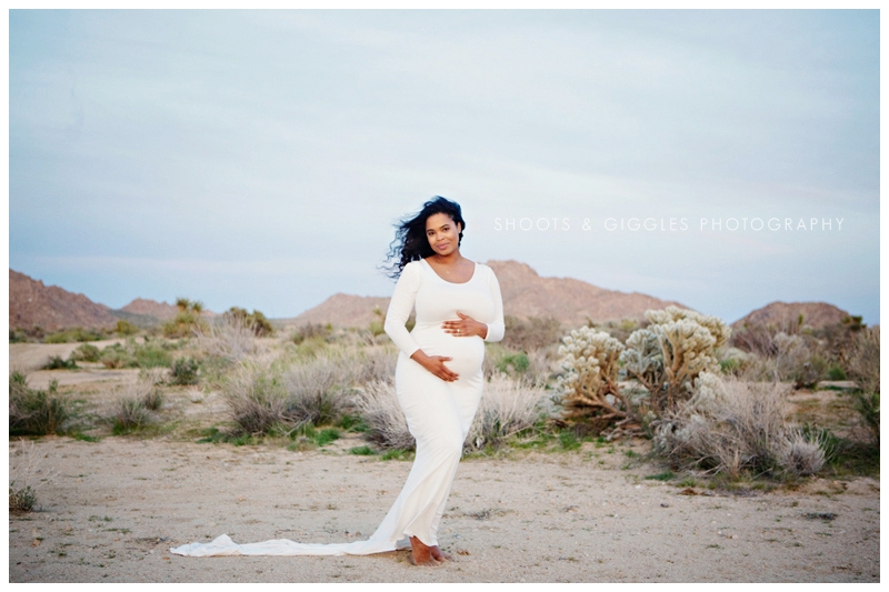 Los Angeles Maternity Photographer