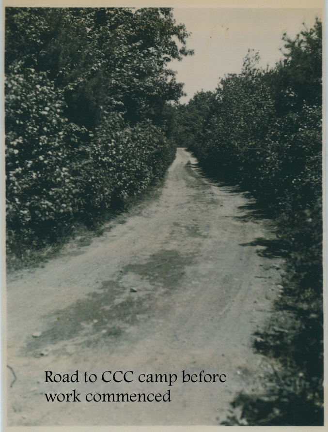 #6 Road to CCC camp before work commenced.png