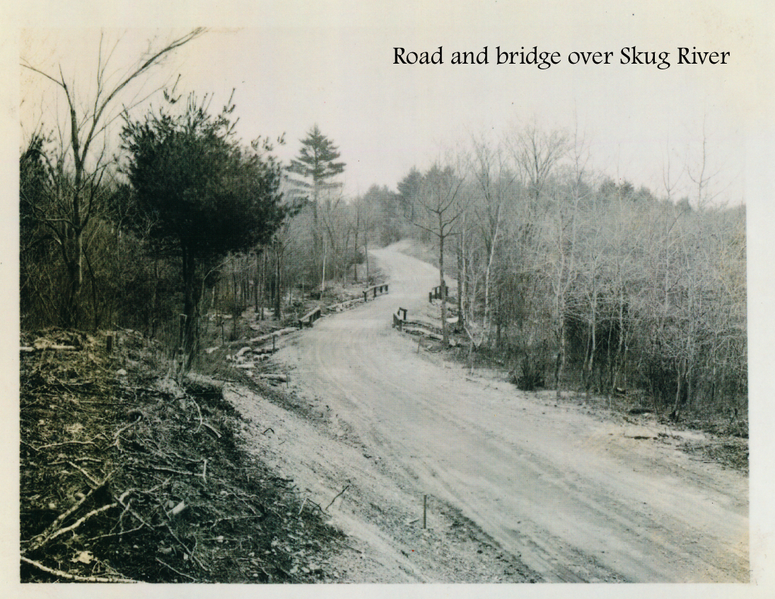 #11Road and bridge over Skug River.png