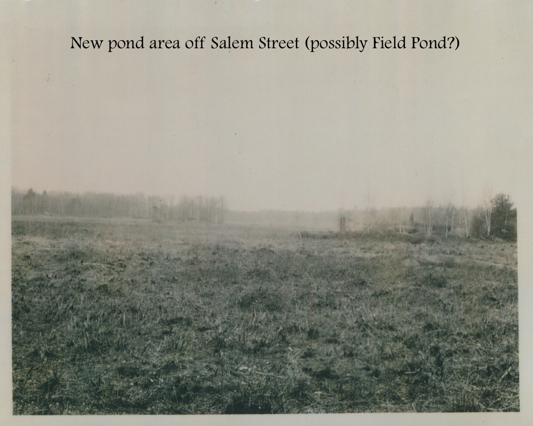 #12 New pond area off Salem Street (possibly Field Pond?).png