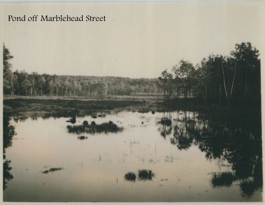 #16 Pond off Marblehead Street.png