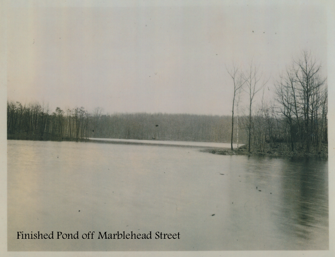 #17 Finished Pond off Marblehead Street.png