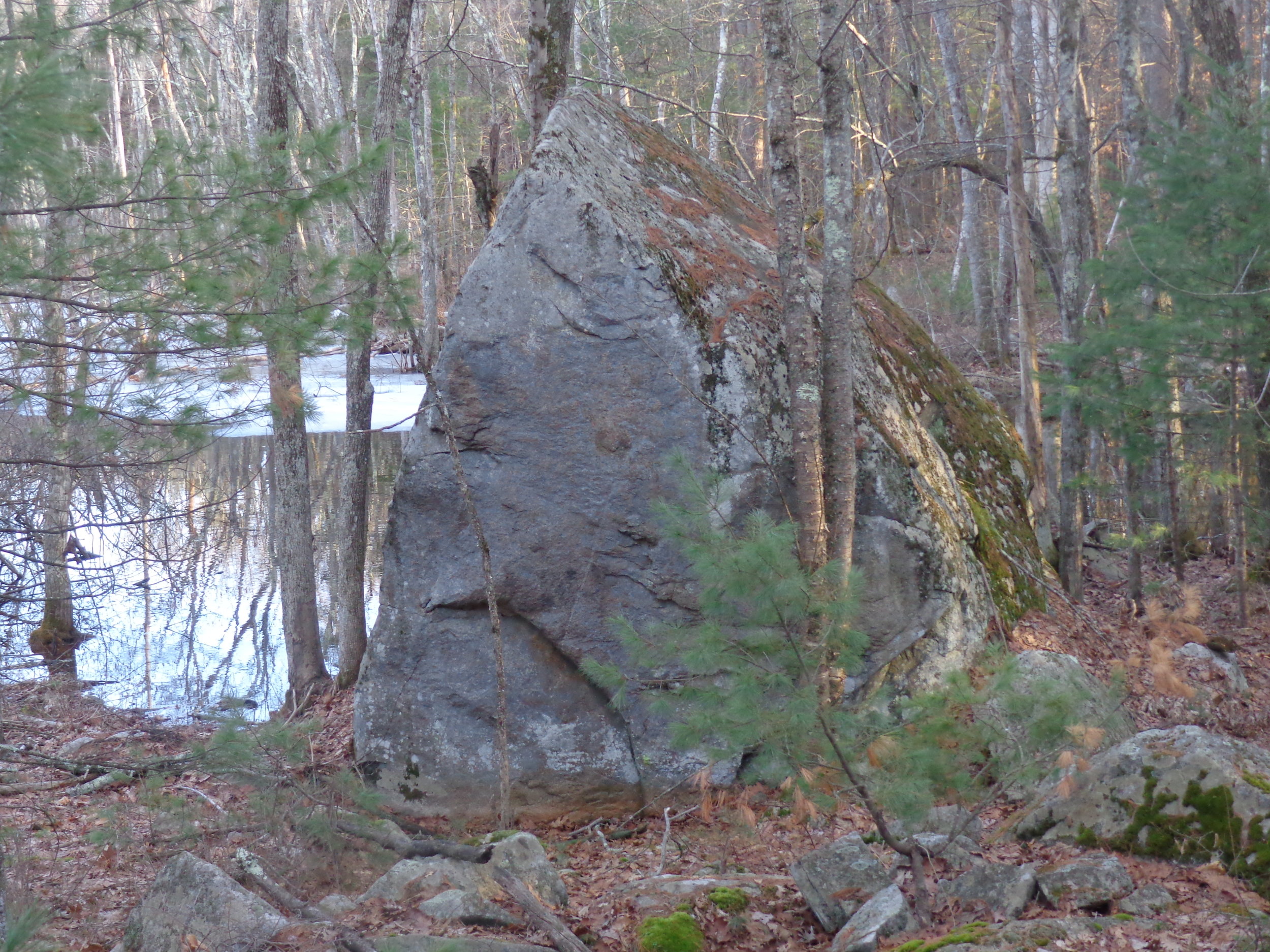Getting to Know the Forest: Hike on the Bay Circuit Trail