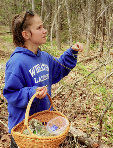 Giovanna collecting lichens in the Forest.