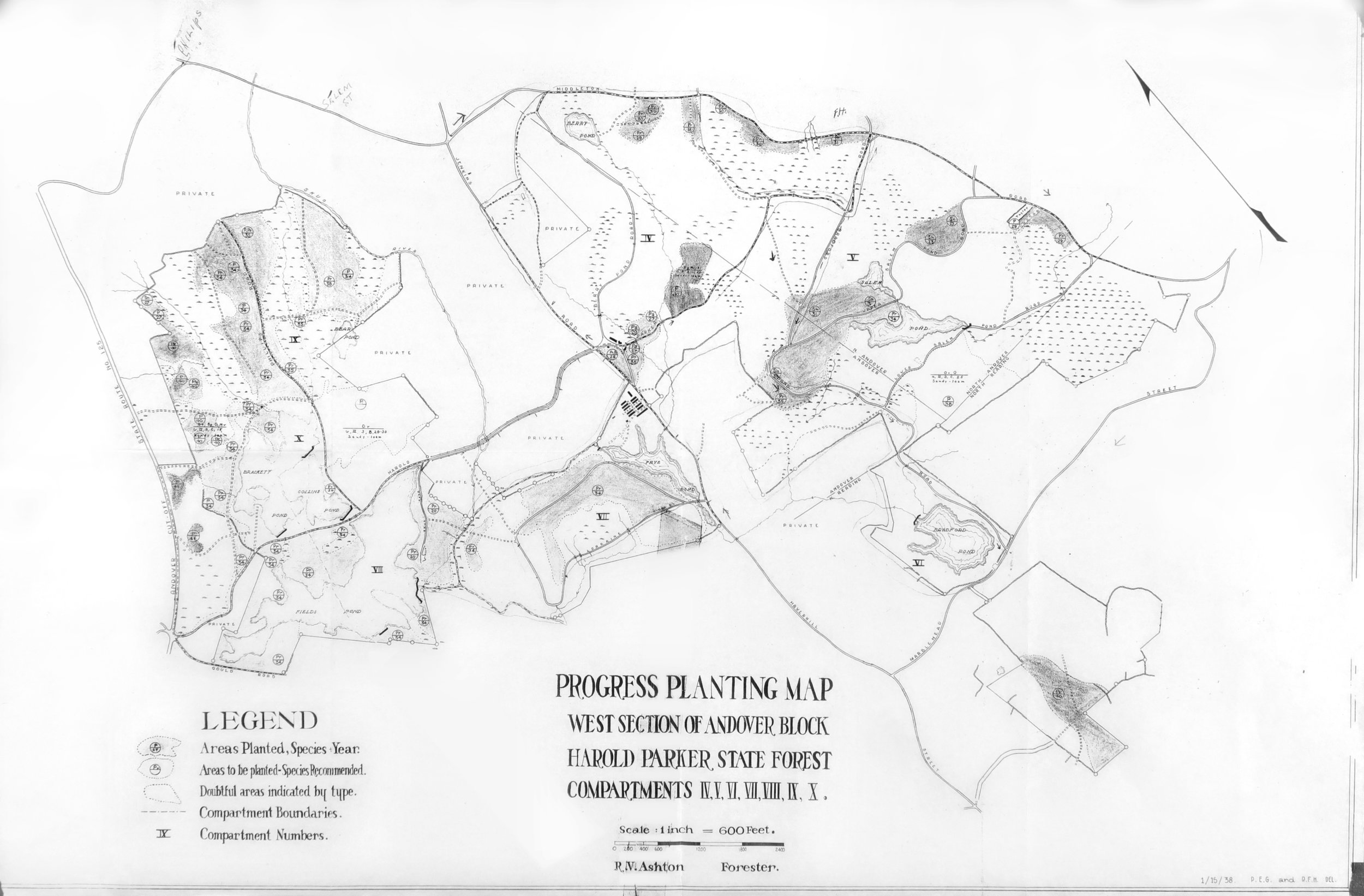 Progress Planting Map 1938