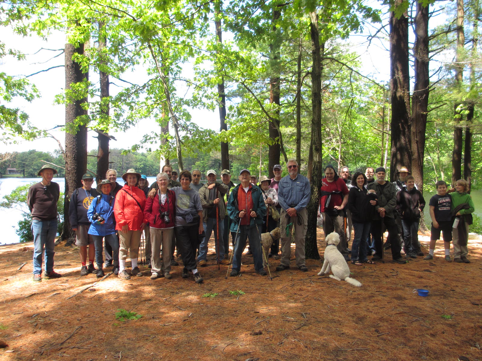 Special Event: We Walk the Woods with Bob Metcalfe