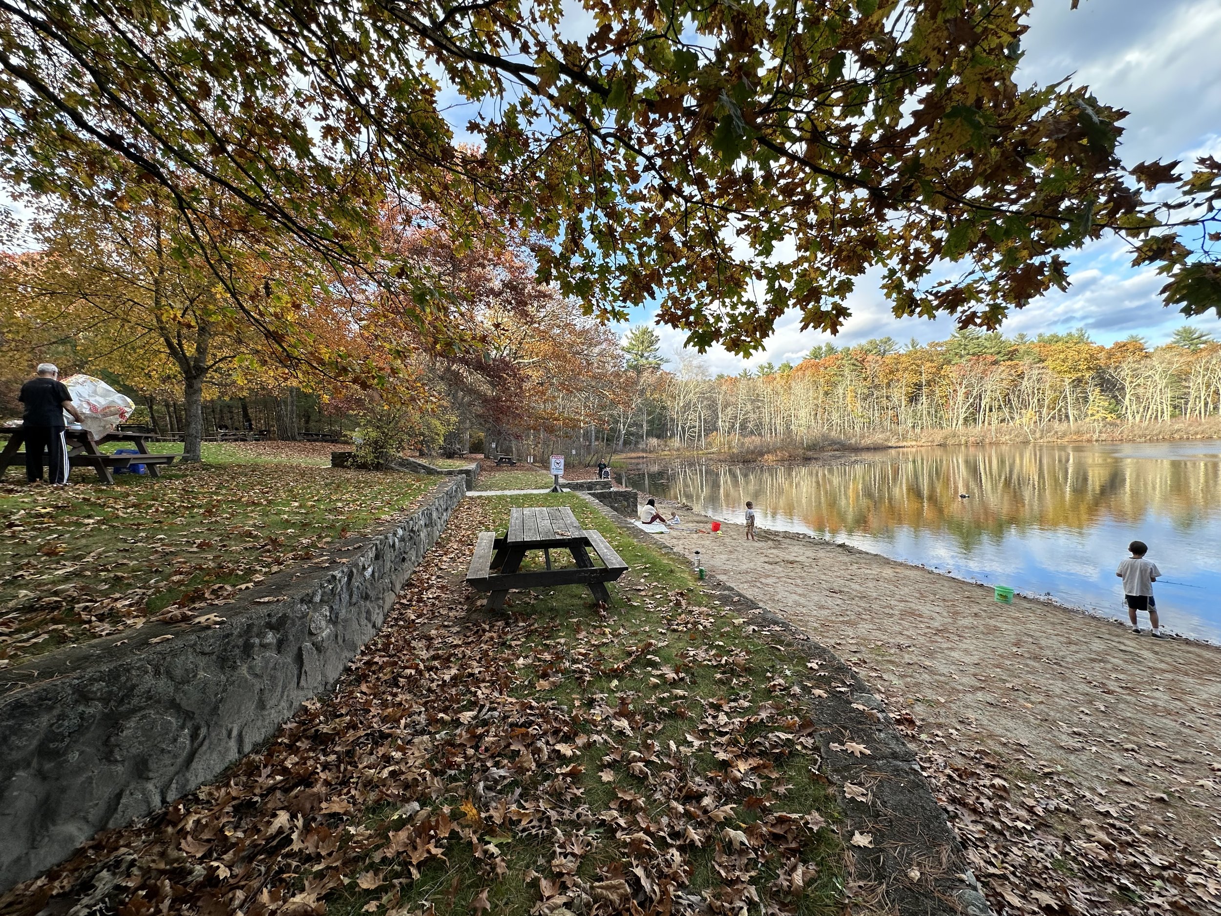 Health of the Forest: A Presentation at Berry Pond