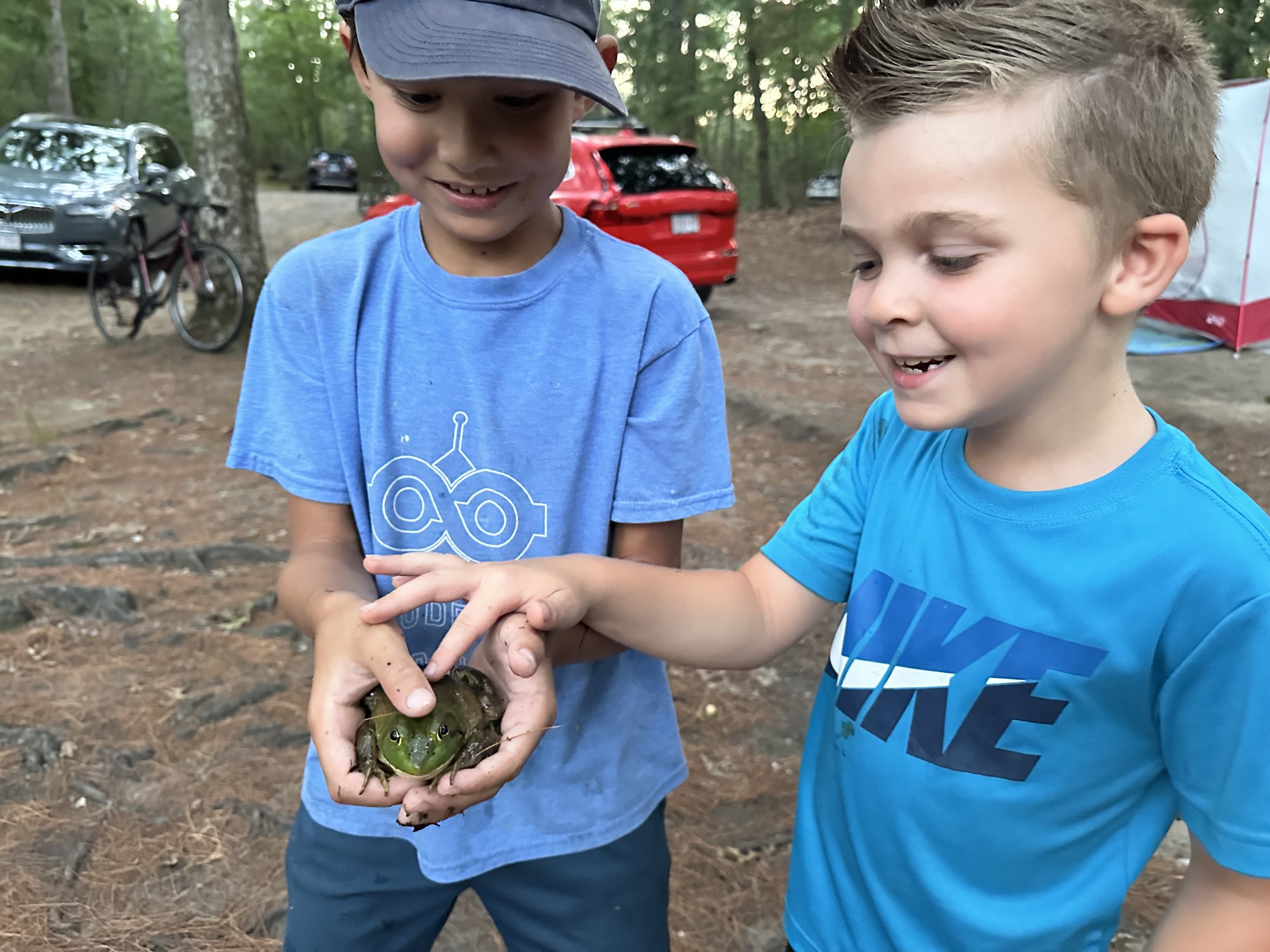 Summer Nature Program Schedule