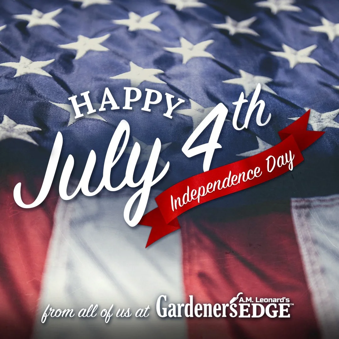 GE_2225_July-4-1080_FINAL.jpg
