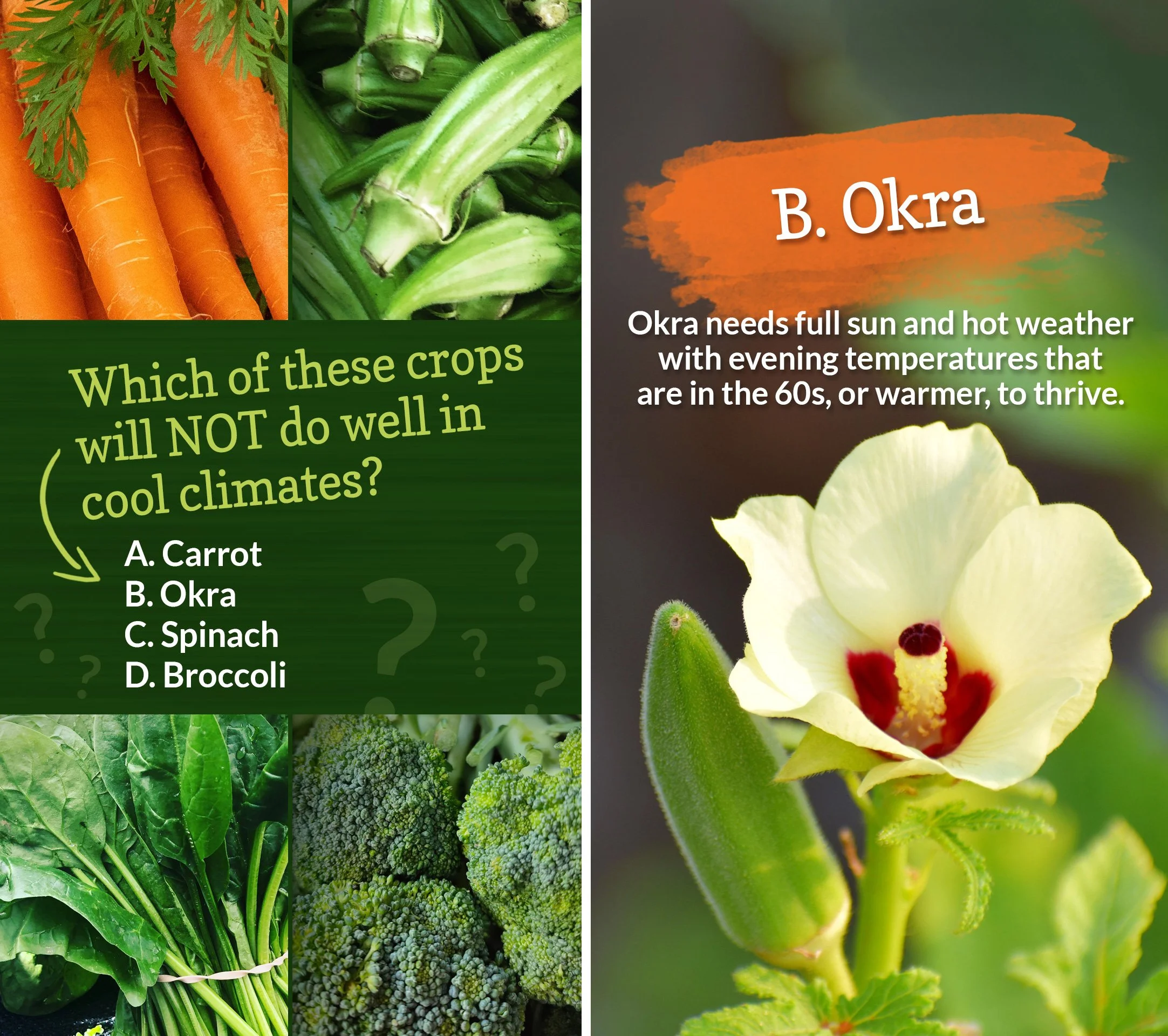 2206_Trivia-Crops-and-Cool-Climates_1and2.jpg