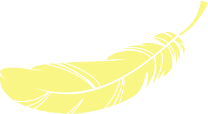 feather-test4.png