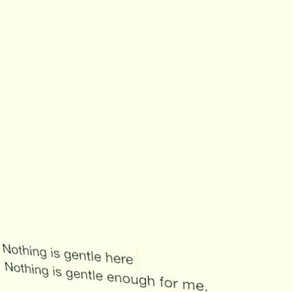 nothing is gentle Here