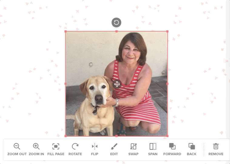 resize photos.gif