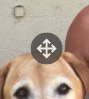 Screen Shot 2019-05-14 at 11.13.04 AM.png