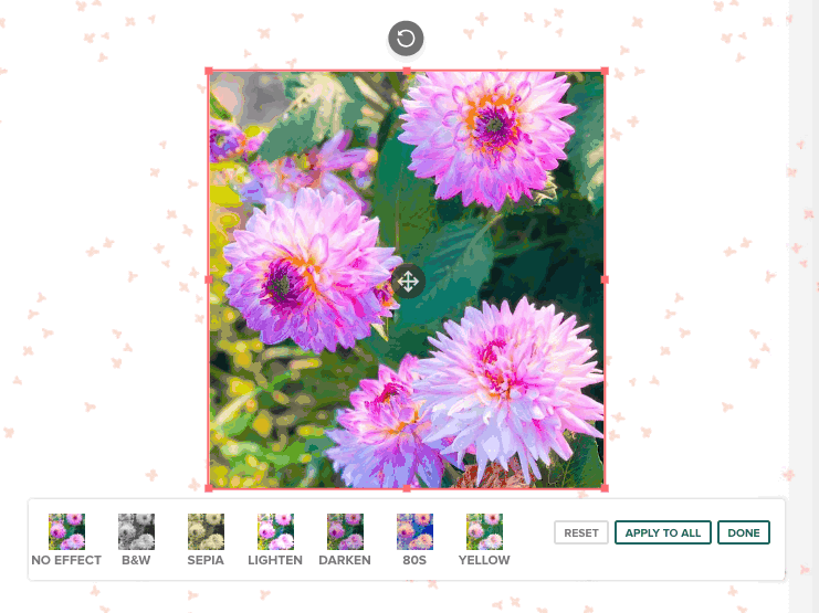Mixbook Editor - Photo Effects — Mixbook Inspiration